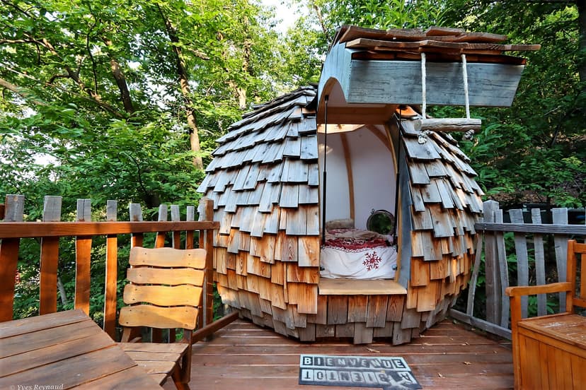 Cabane dans les arbres 